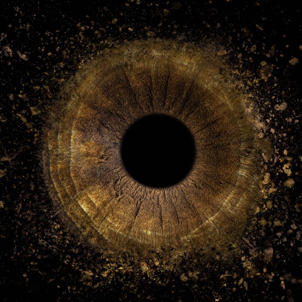 Iridology close-up eye analysis for naturopathic assessment